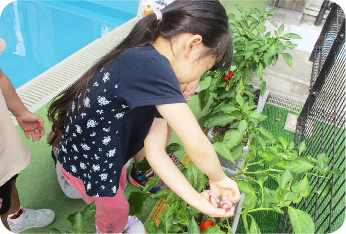 自主的、積極的な子どもに育てます